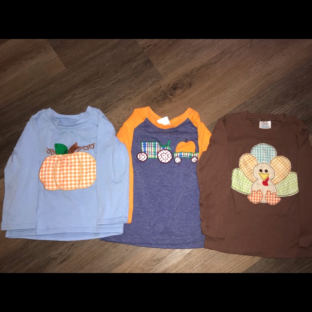 Lot of fall long sleeve 2T boys shirts.
